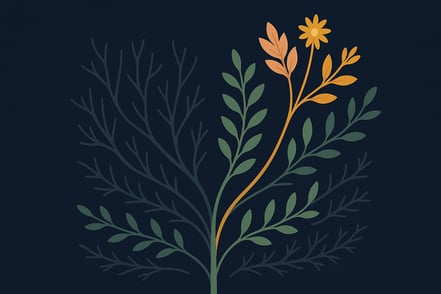 How to Think Like AlphaEvolve: The Framework That Discovers Better Solutions