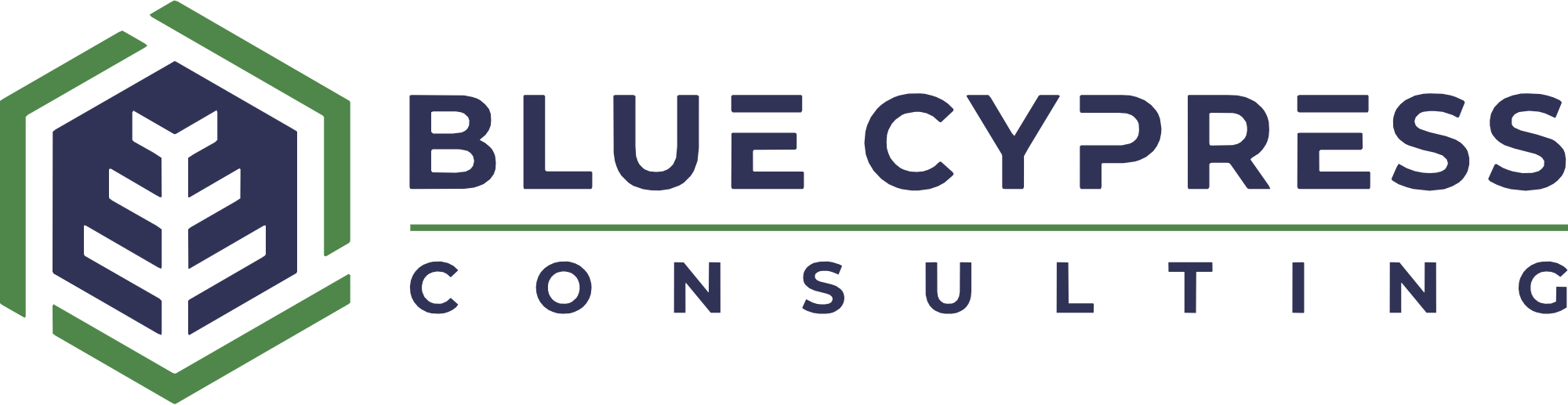 bc-consulting-color-2000w